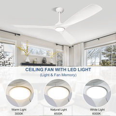 Depuley 60" Modern Ceiling Fan with Lights and Remote, Large Ceiling Fans Noiseless Reversible DC Motor for Patios/Living Room/Study/Gazebo Lighting, Timing, 3 Light Color Changeable-White - WS-FPZ41-18C-WH 4 | DEPULEY