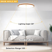 DLLT LED Flush Mount Ceiling Light, 35W Dimmable Round Ceiling Light Fixture with Remote, Close to Ceiling Light Fixtures for Living Room, Bedroom, Dining Room, 3-Light Color Changeable, Timing - WSCL15-35C-M 7 | DEPULEY