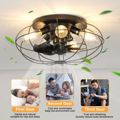 Depuley 19'' Close-to-Ceiling Fans Lights with Remote Control, Thickened Blades Semi-Enclosed Caged Design Ceiling Fan, Frosted Black Flush Mount Ceiling Fan for kitchen/Bedroom/Living Room/Farmhouse, Timer, Low Profile, 3-Level Wind Speed - WS-FPZ27-60B 3 | Depuley