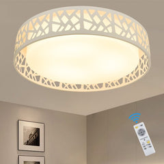 DLLT 35W LED Ceiling Light Dimmable Modern White Ceiling Light Living Room with Remote Control and Round Large Design with Drawing (3000 K - 6000 K) for Bedroom Kitchen Dining Room Office Hall Children's Room - WSCL38-35C-W 3 | Depuley