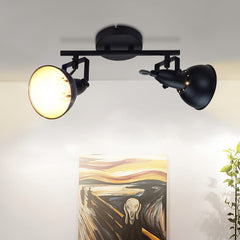Depuley Ceiling Track Lighting Fixture, 2-Light Adjustable Wall Spotlight, Black - WSSD05-10B 1 | Depuley