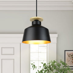 Depuley Industrial Pendant Light Fixture, Farmhouse Black Metal Hanging Ceiling Lamp, Vintage Chandelier 7.9 Inch Adjustable Pendant Lighting - WSCDD16-B 1 | Depuley